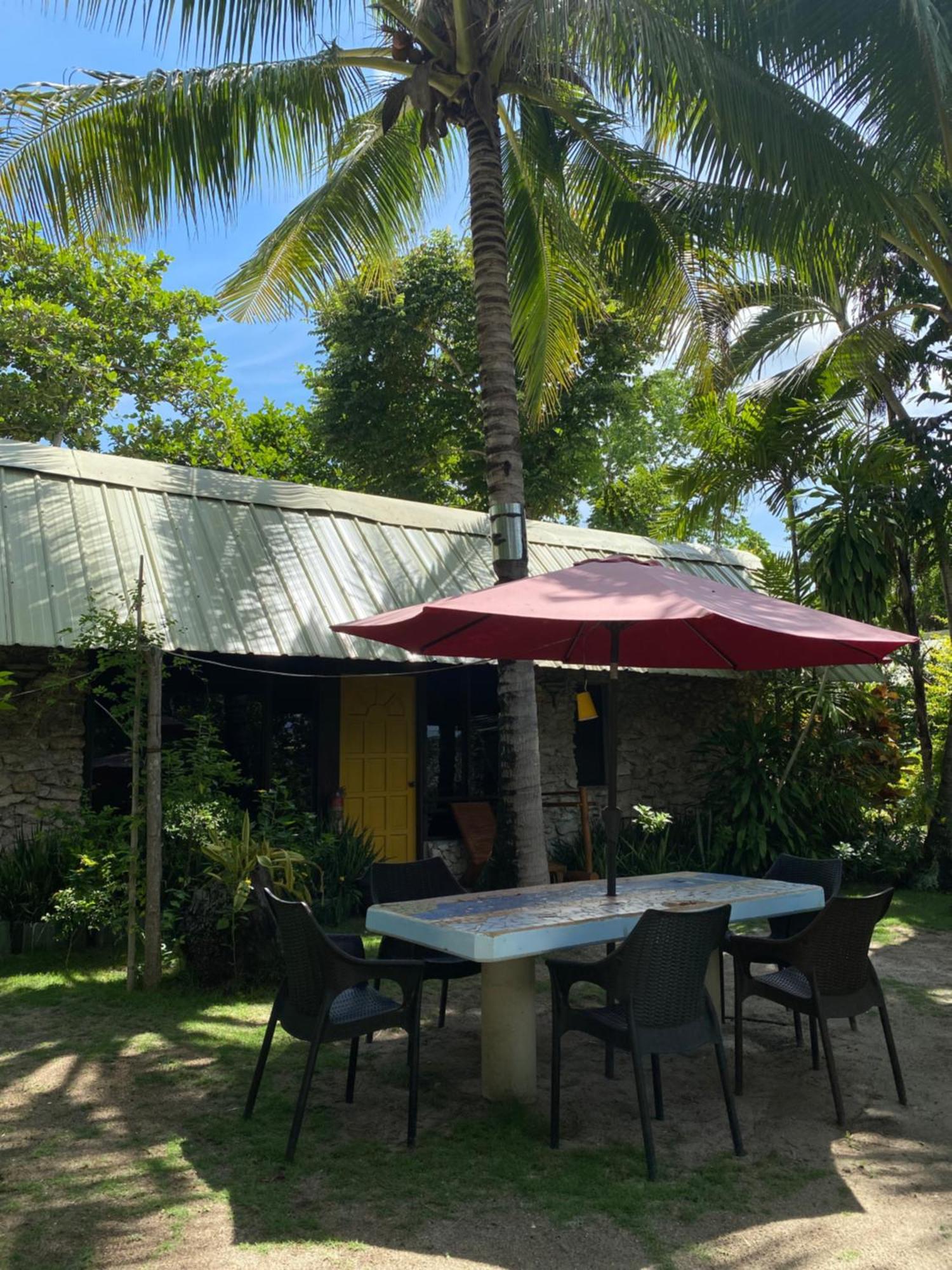Ravenala Beach Bungalows Moalboal Eksteriør bilde