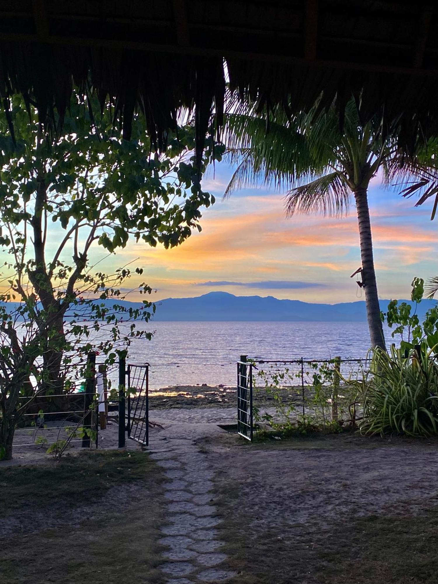 Ravenala Beach Bungalows Moalboal Eksteriør bilde