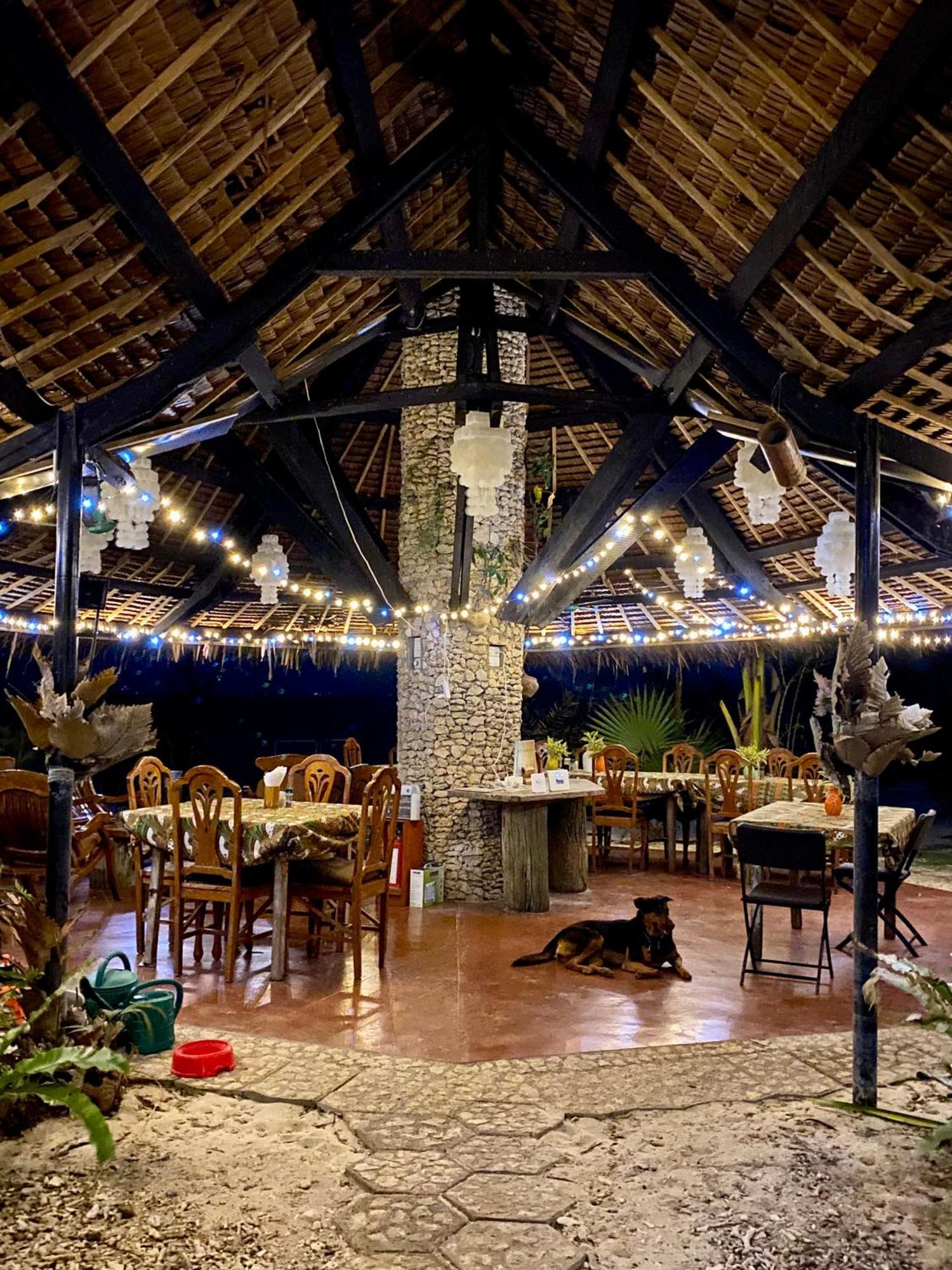 Ravenala Beach Bungalows Moalboal Eksteriør bilde