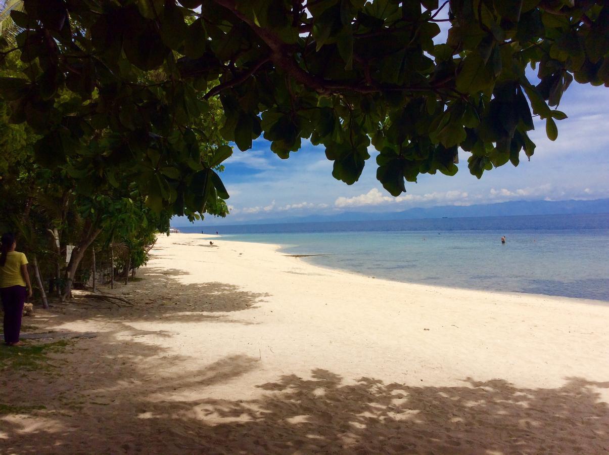 Ravenala Beach Bungalows Moalboal Eksteriør bilde