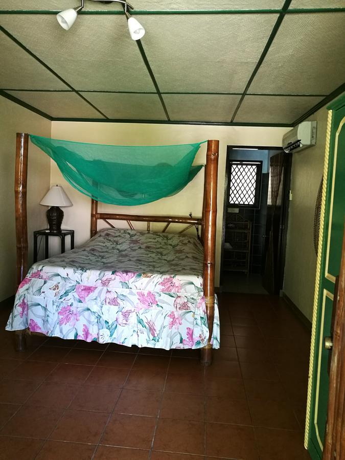 Ravenala Beach Bungalows Moalboal Eksteriør bilde